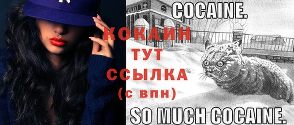 СК Снежинск